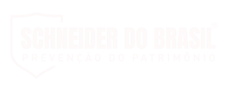 Schneider do Brasil